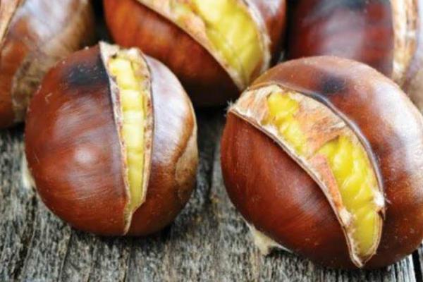 castagne