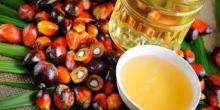 olio di palma