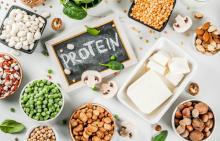 Le proteine alimentari