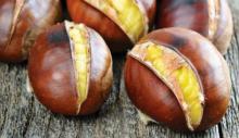 castagne